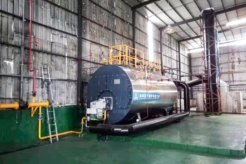 廣東造紙廠6噸低氮燃?xì)庹羝仩t