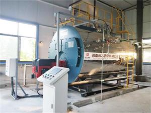 河南藥廠博凱醫藥2噸超低氮燃氣鍋爐